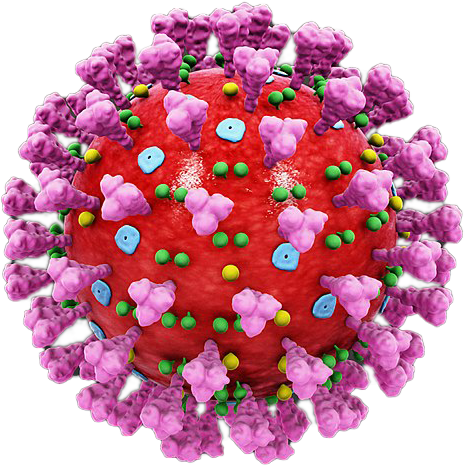 Corona-Virus